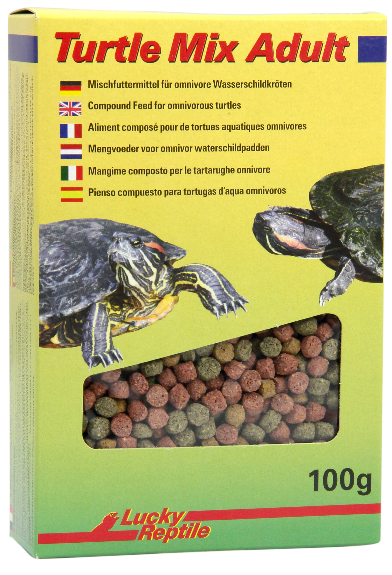 Turtle Mix Adult 1 Turtle Mix Adult
