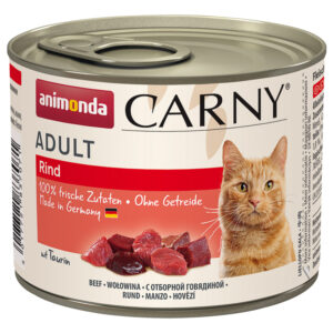 Cat Carny Adult