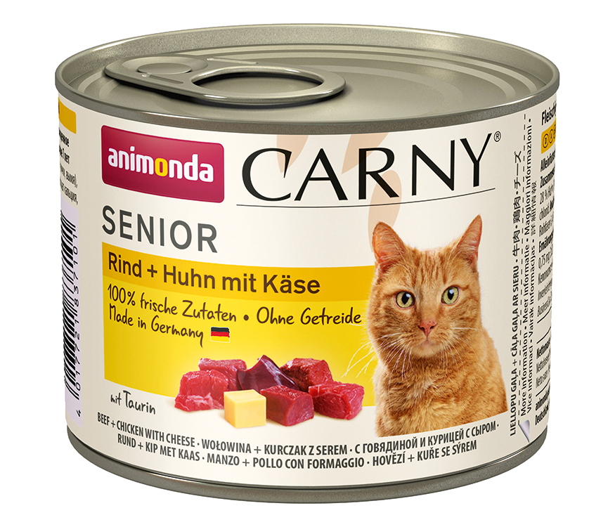 Cat Carny Senior 1 Cat Carny Senior