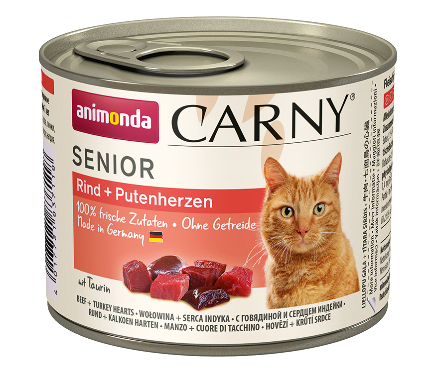 Cat Carny Senior 1 Cat Carny Senior