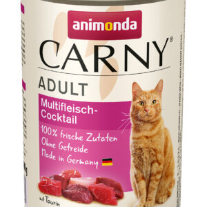 Cat Carny Adult