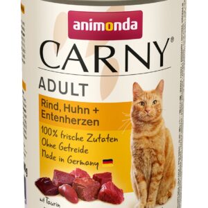 Cat Carny Adult