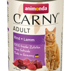 Cat Carny Adult