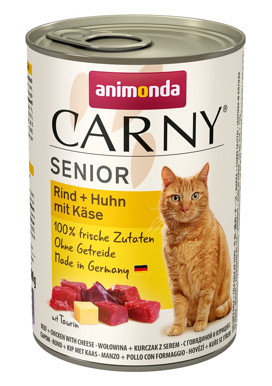 Cat Carny Senior 1 Cat Carny Senior