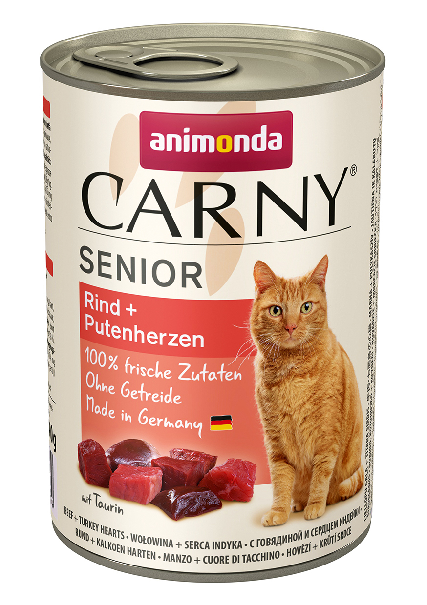 Cat Carny Senior 1 Cat Carny Senior
