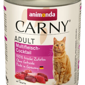Cat Carny Adult