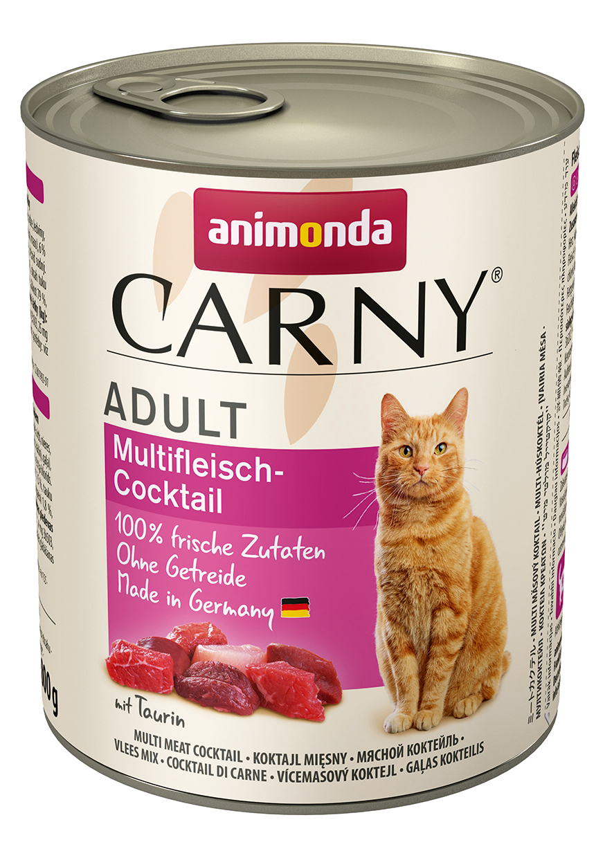 Cat Carny Adult 1 Cat Carny Adult