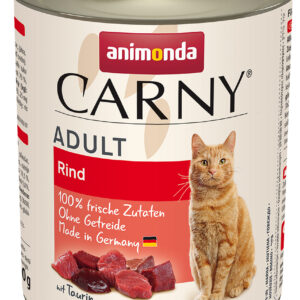 Cat Carny Adult