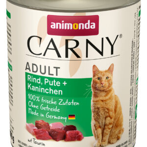 Cat Carny Adult
