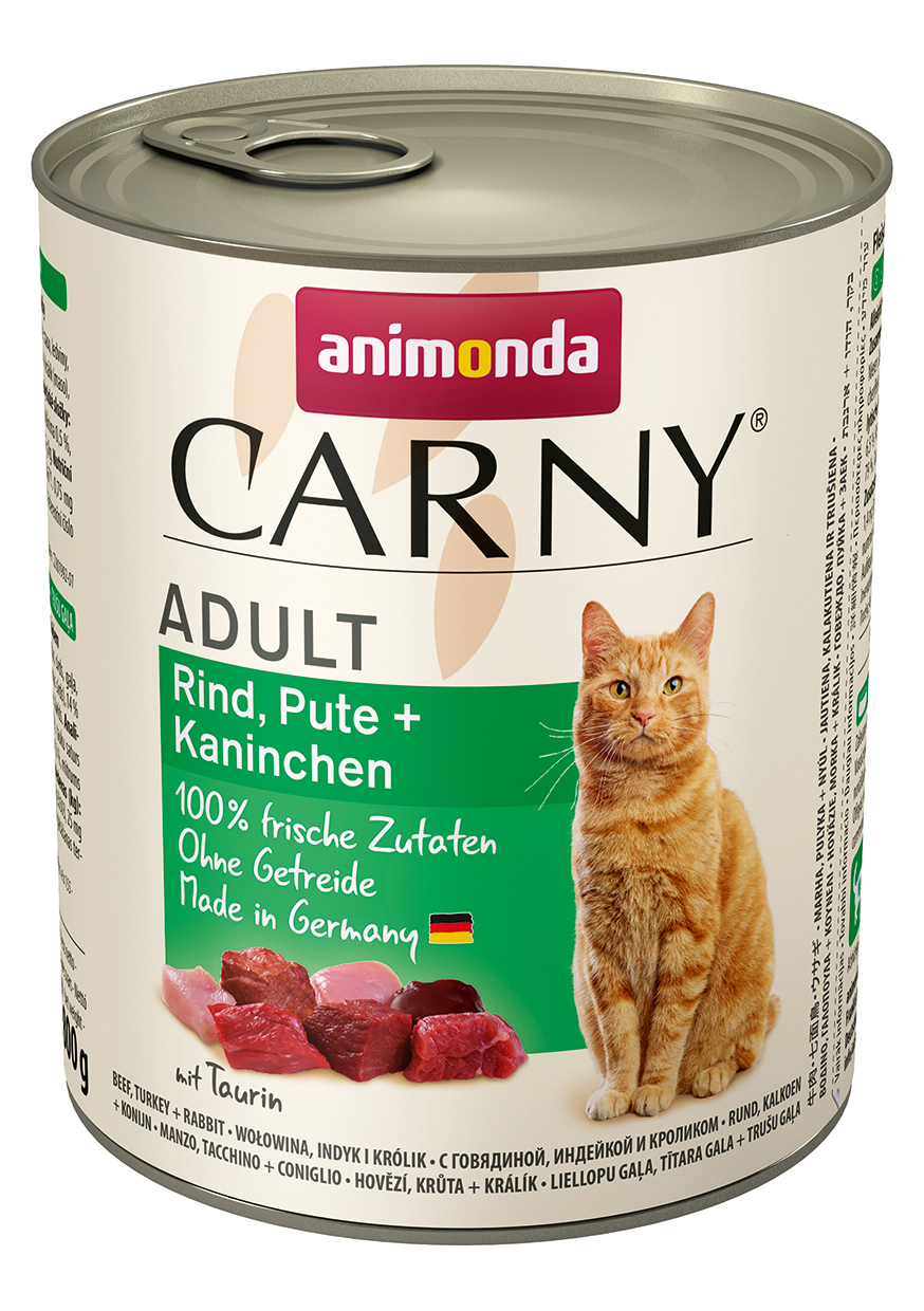 Cat Carny Adult 1 Cat Carny Adult