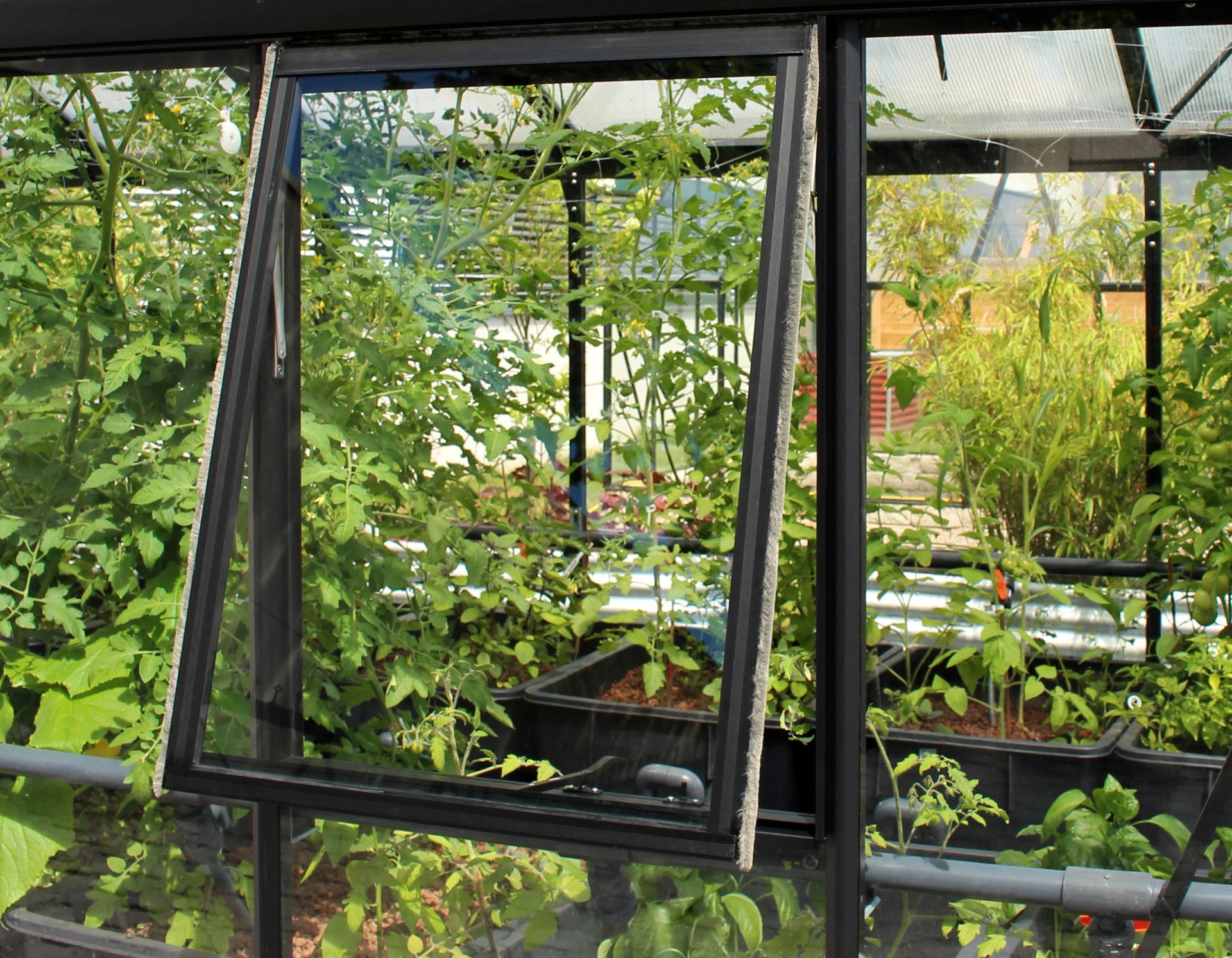 Seitenfenster H 1 Seitenfenster H