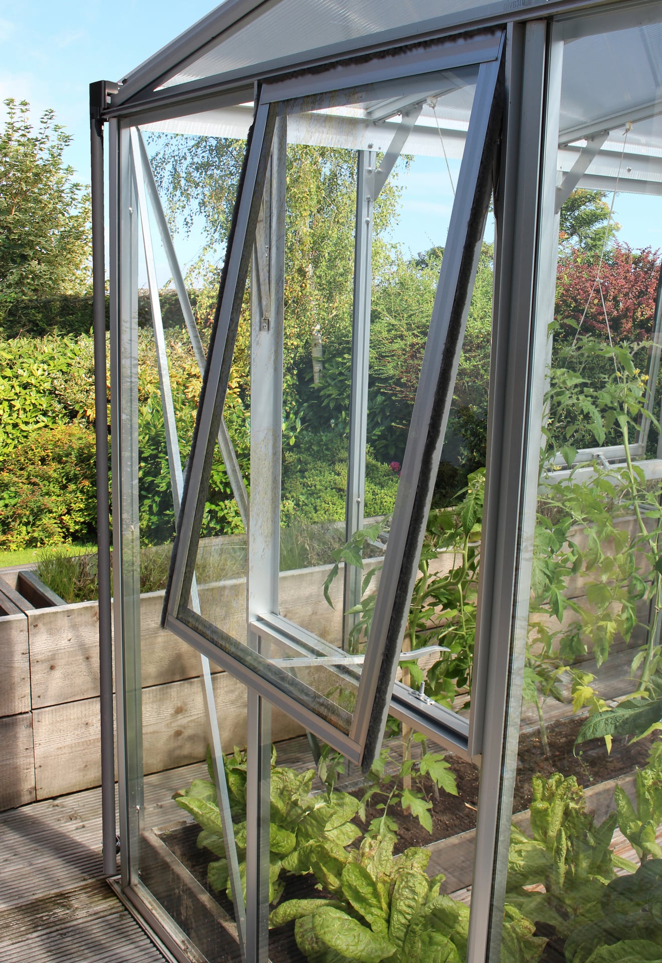 Seitenfenster Z 1 Seitenfenster Z