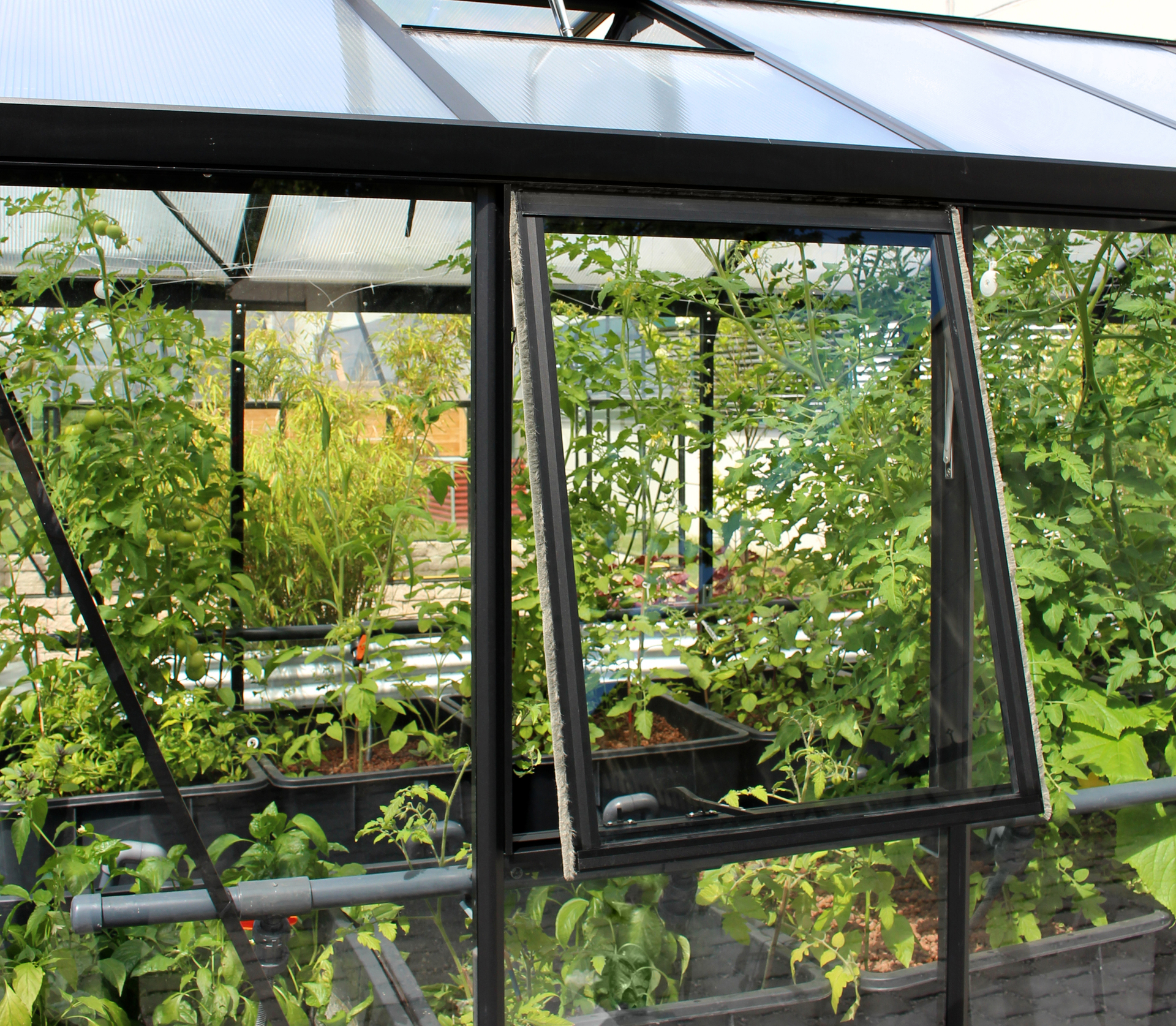 Seitenfenster Z 1 Seitenfenster Z