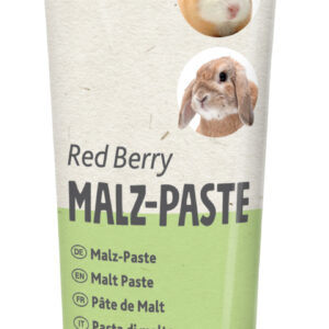 Malz-Paste