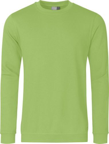 Sweatshirt 1 Sweatshirt