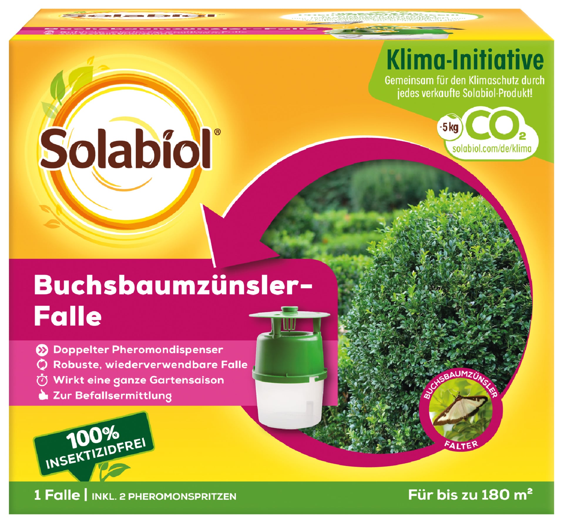 Buchsbaumzünslerfalle 1 Buchsbaumzünslerfalle