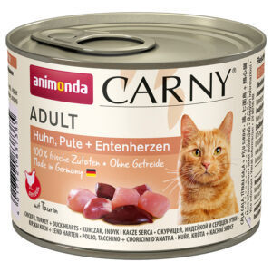 Cat Carny Adult