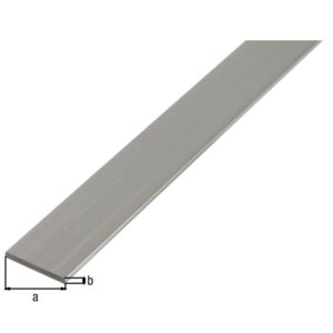 BA-Profil flach