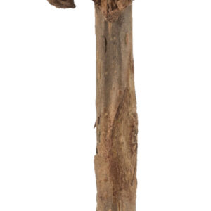 Matatabi Lolli
