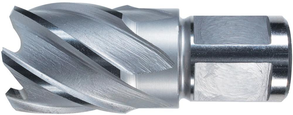 Kernbohrer HSS 31/30mm Alfra 1 Kernbohrer HSS 31/30mm Alfra