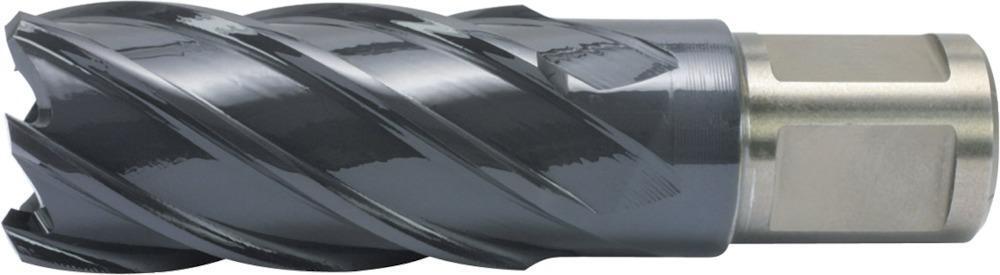 Kernbohrer HSS-Co RQX 25/30mm Alfra 1 Kernbohrer HSS-Co RQX 25/30mm Alfra