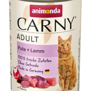 Cat Carny Adult
