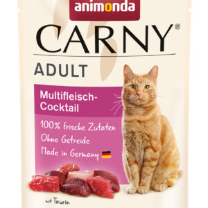 Cat Carny Adult
