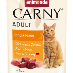 Cat Carny Adult
