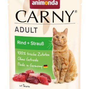 Cat Carny Adult