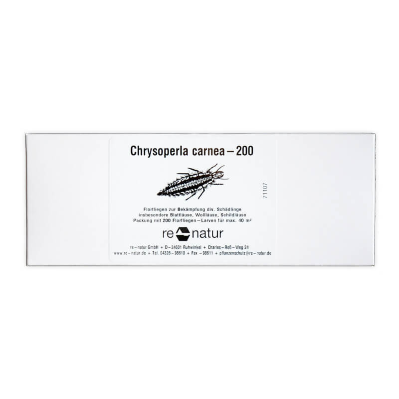 Florfliegenlarven (Chrysoperla carnea ), 200 Stück 1 Florfliegenlarven (Chrysoperla carnea ), 200 Stück