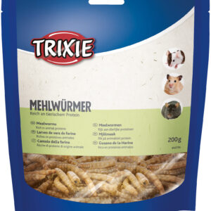 Mehlwürmer