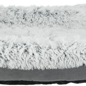 Bett Harvey