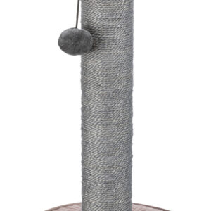 Kratzstamm Livia