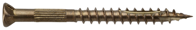 Thermoholzschraube mit Bit 1 Thermoholzschraube mit Bit