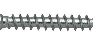 Torbandschraube