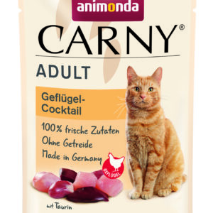 Cat Carny Adult