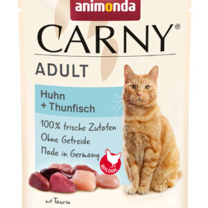 Cat Carny Adult