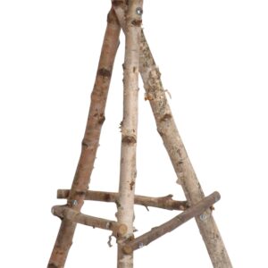 Vogelhaus Birke