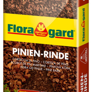 Pinien-Rinde
