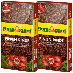Pinien-Rinde