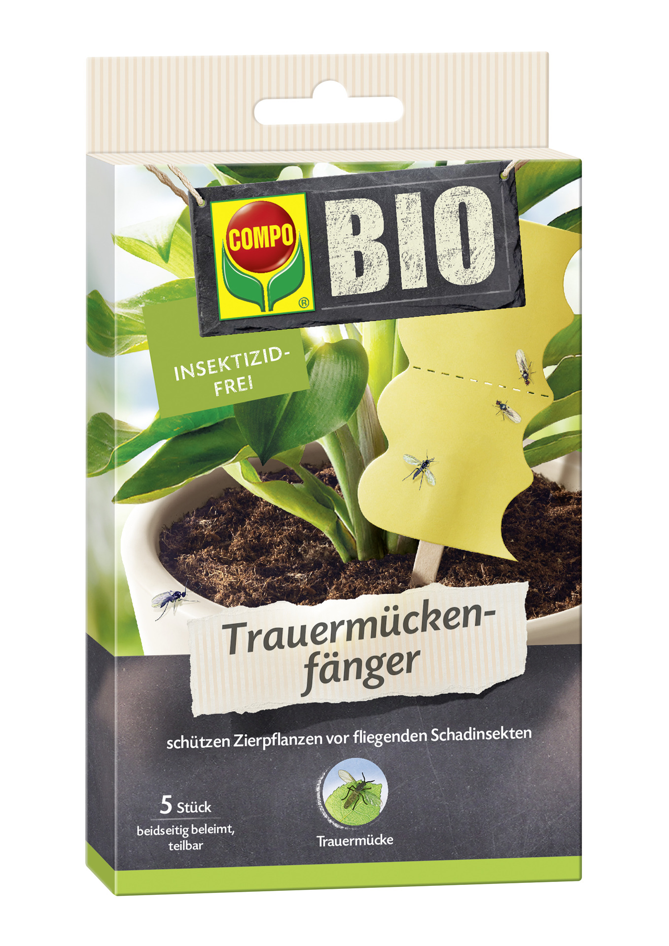 Trauermückenfänger, 5 Stück 1 Trauermückenfänger, 5 Stück