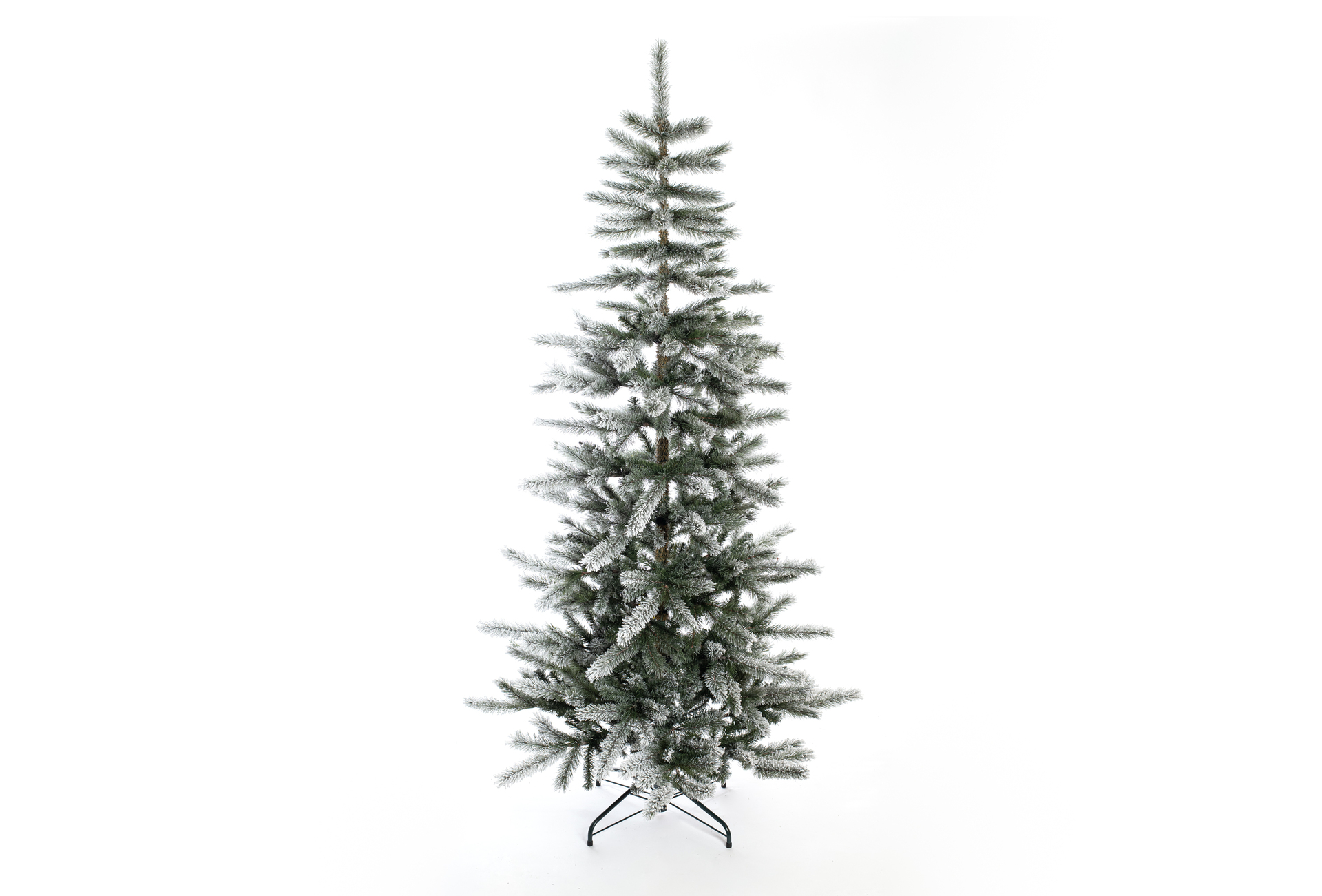 Weihnachtsbaum Cedar Kiefer Frost 1 Weihnachtsbaum Cedar Kiefer Frost