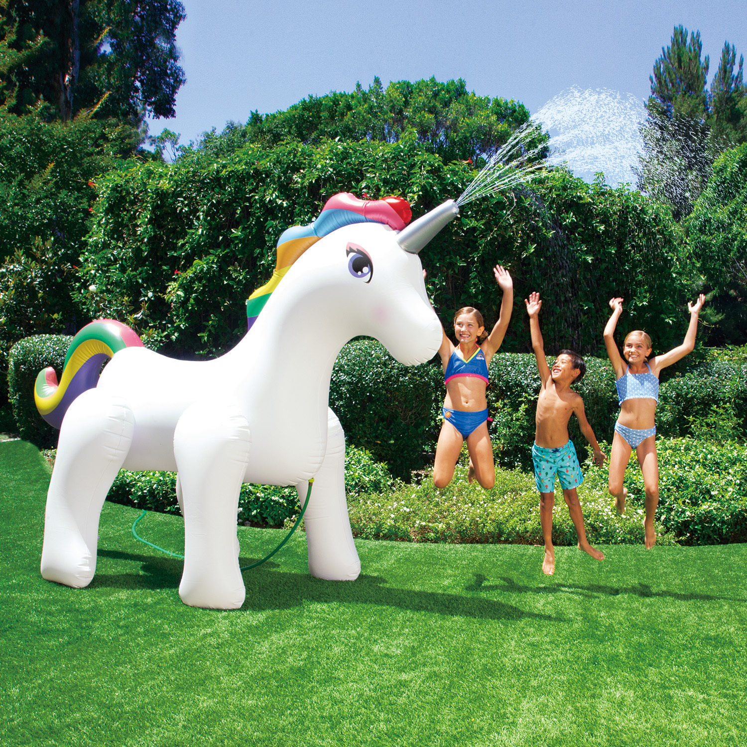 Einhorn 1 Einhorn