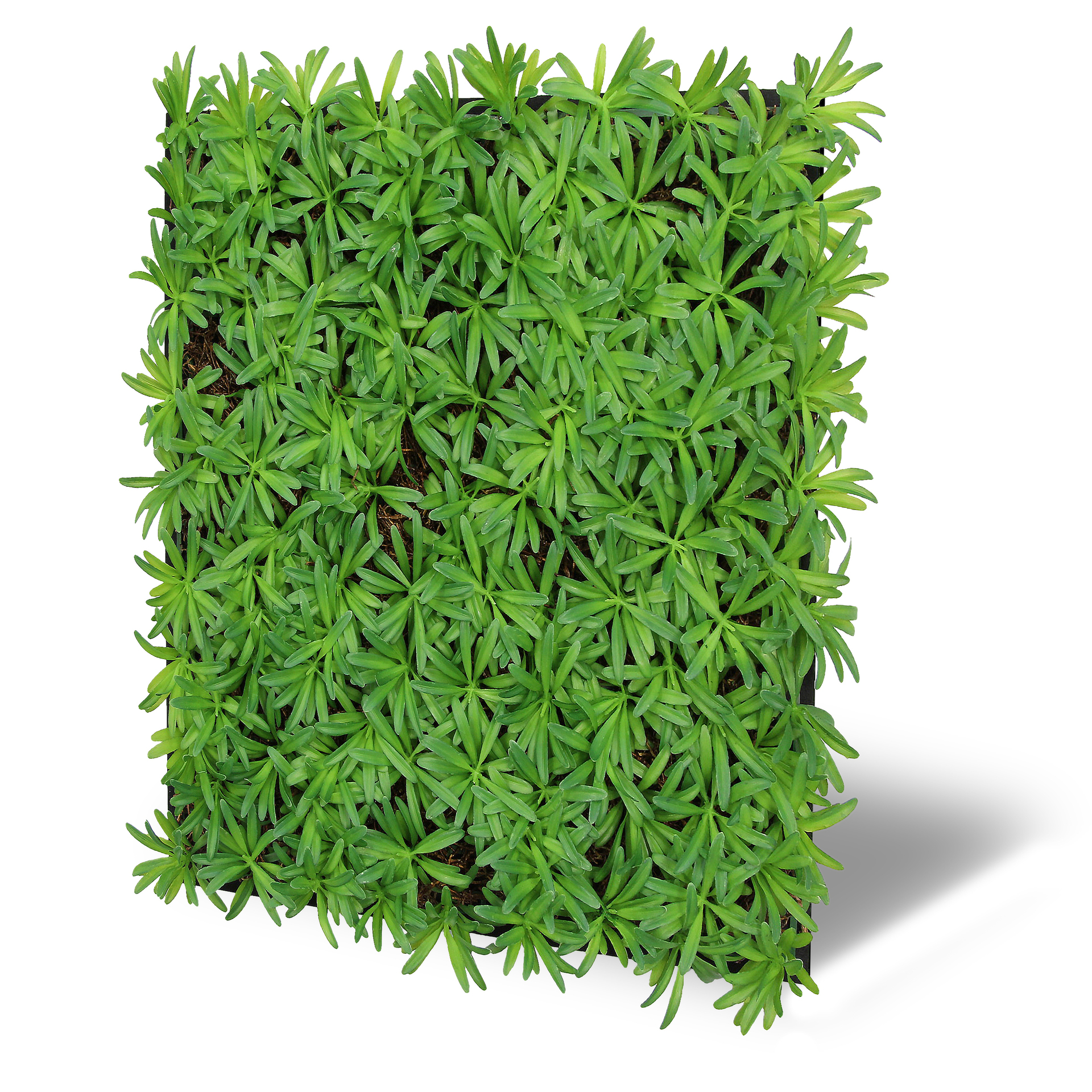 Wandpaneel Modular Wall Flora 1 Wandpaneel Modular Wall Flora