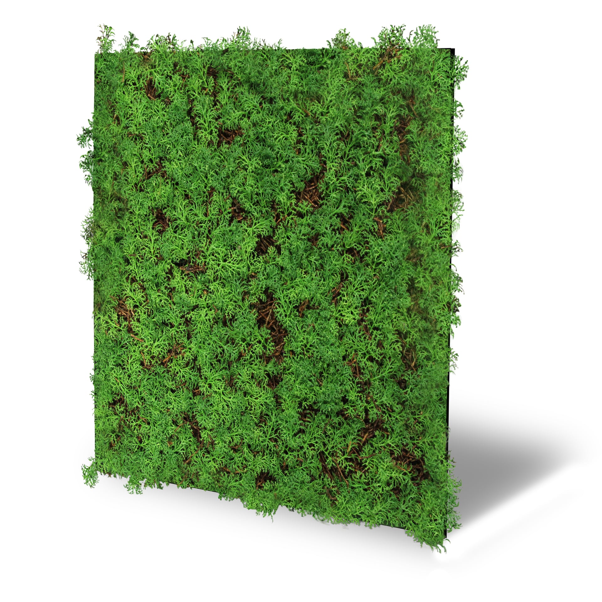 Wandpaneel Modular Wall Flora 1 Wandpaneel Modular Wall Flora