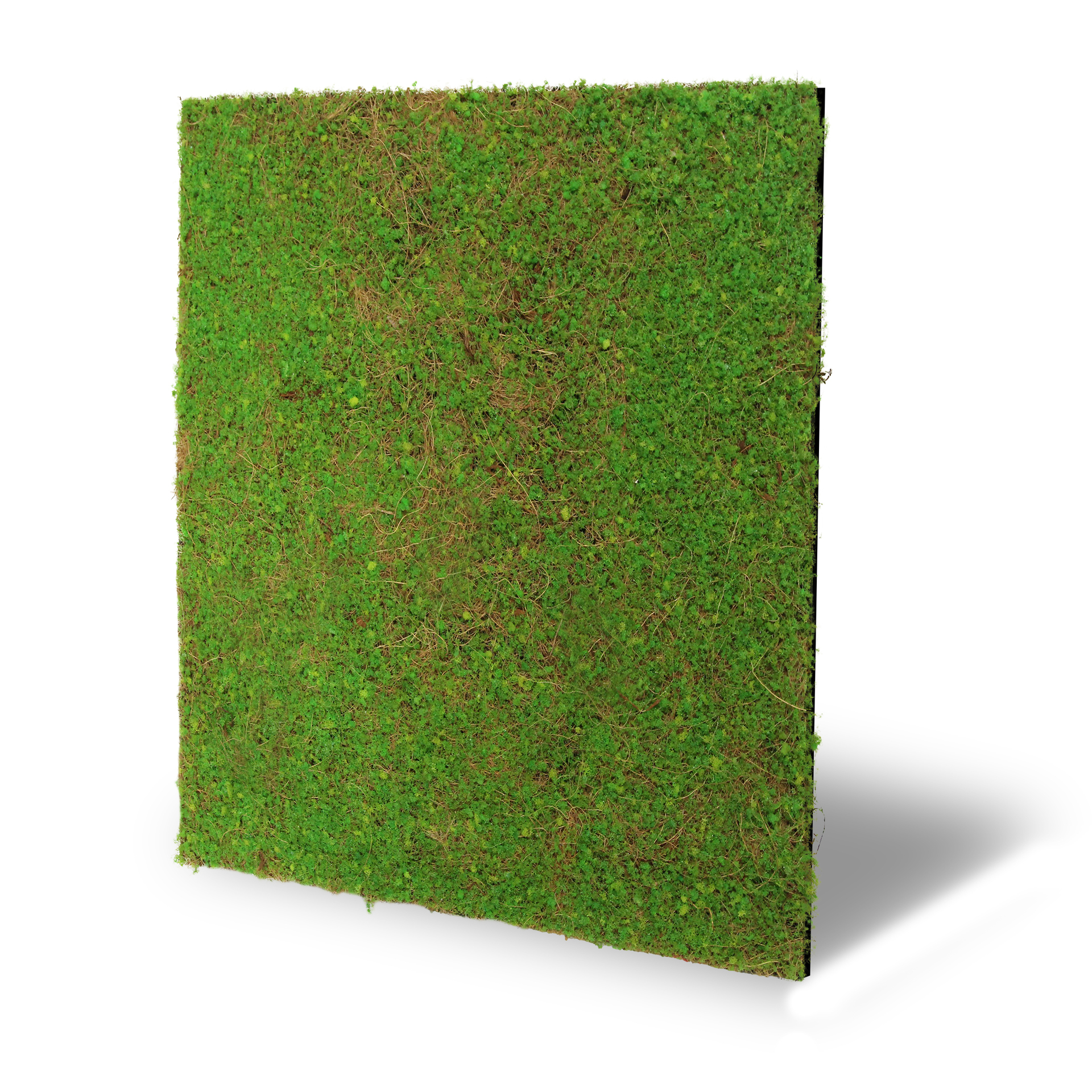 Wandpaneel Modular Wall Flora 1 Wandpaneel Modular Wall Flora