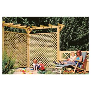 Pergola komplett 9x9x450 cm