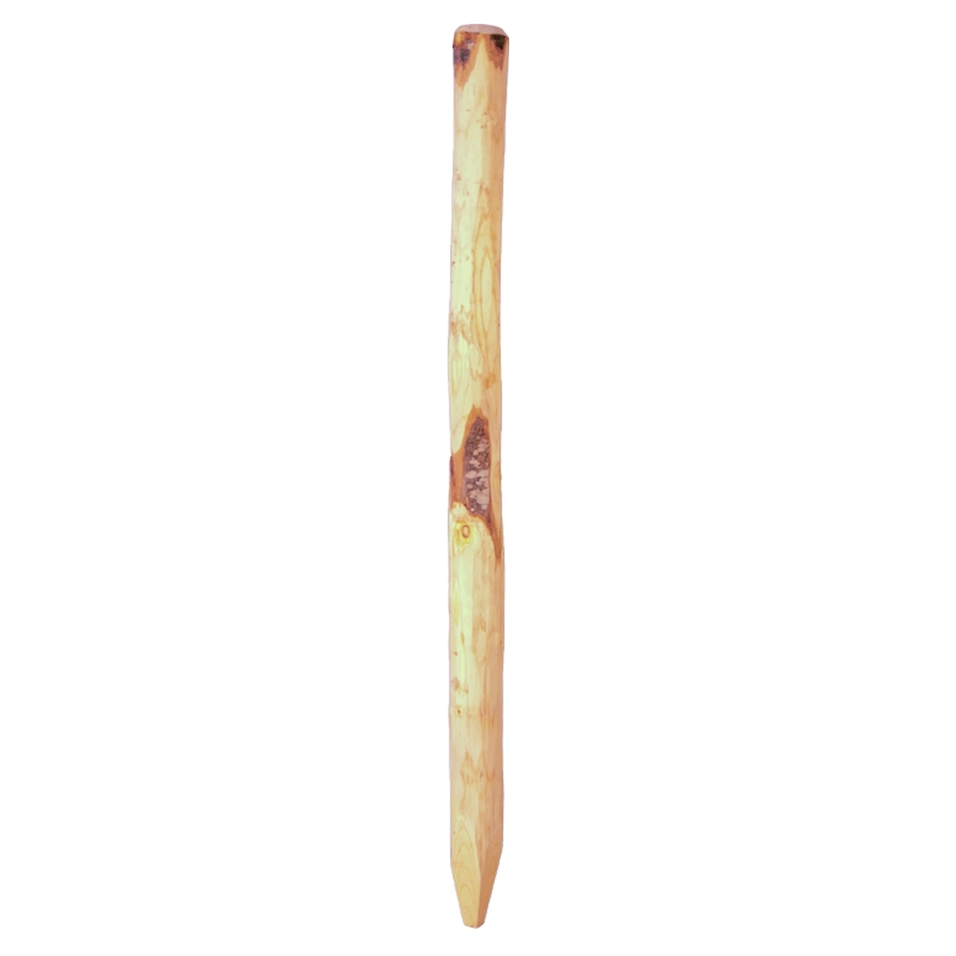 ROLLO-Zaunpfahl, d ca. 8-10 cm 1 ROLLO-Zaunpfahl, d ca. 8-10 cm