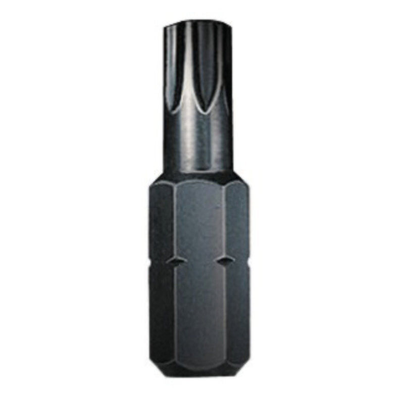 passender Torx 20 Bit für PAN Torx 1 passender Torx 20 Bit für PAN Torx