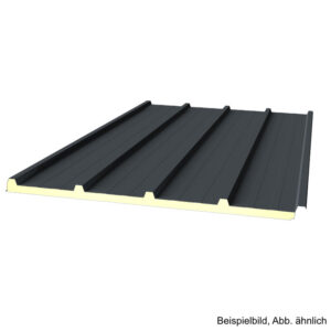 Sandwichplatte Dach G4